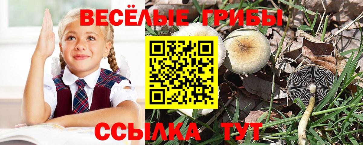 Галлюциногенные грибы мухоморы  Псилоцибиновые грибы MAGIC MUSHROOMS  Лобня  Вход с VPN 
