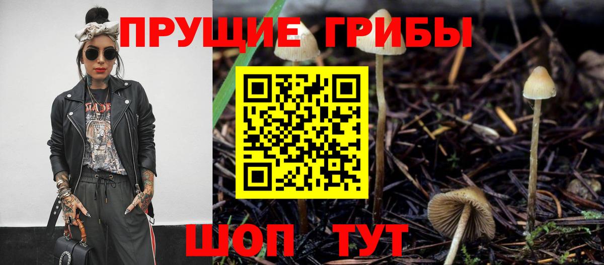 Псилоцибиновые грибы GOLDEN TEACHER Лобня